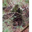 Titan Leafy Suit Mossy Oak - Obsession Nwtf S-m Pants-top