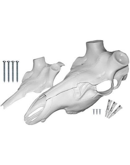 Mountain Mike's Elk Skull - Master Universal Kit