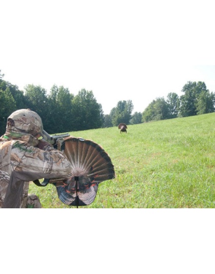 Montana Decoy Turkey Gobbler - Fanatic 2d