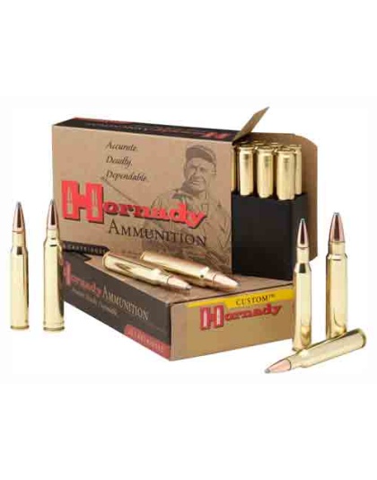 Hornady Ammo .375 Ruger - 270gr. Jsp 20-pack