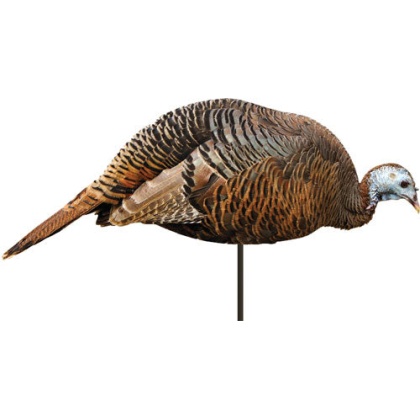 Montana Decoy Turkey Hen - Dinner Beele