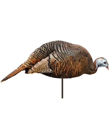 Montana Decoy Turkey Hen - Dinner Beele