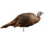 Montana Decoy Turkey Spring - Fling Hen