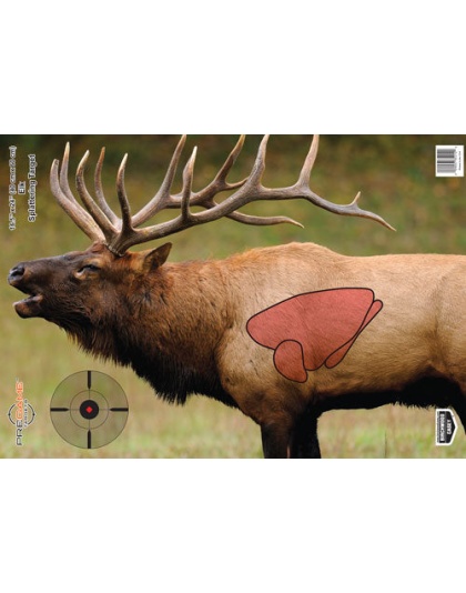B-c Target Pregame 16.5"x24" - Elk Target 3-targets