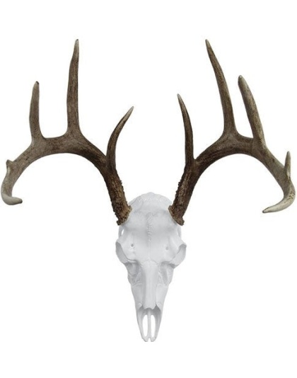 Mountain Mike's Deer Skull Kit - Record Keeper Incl Positioner