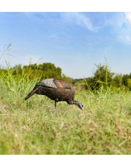 Flextone Thunder Chick Feeding - Hen Decoy W-stake