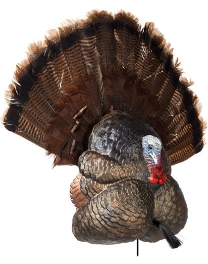 Flextone Thunder Creeper - Strutter Decoy W- Folding Fan