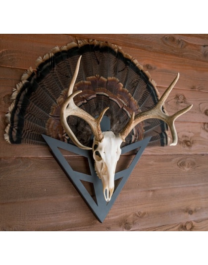 Do-all Strut-n-skull Turkey - Fan-european Skull Mount