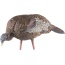 Avian X Lcd Feeder Hen Decoy -