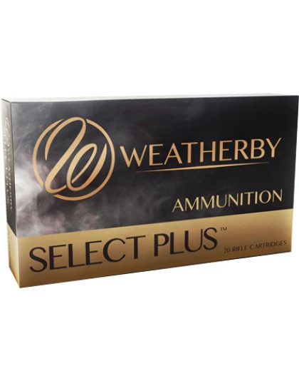 Wby Ammo .378 Weatherby Magnum - 300gr. Hornady Sp-rn 20-pack