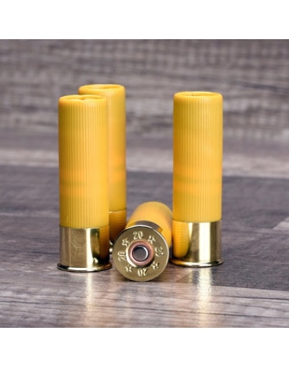 Cleanshot Shoot Through Gun - Bore Cleaner 20 Ga. 4-pack
