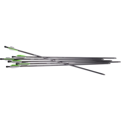 Benjamin Arrows Pioneer Airbow - 26" Carbon 375gr 6pk