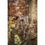 Realtree Ez Hanger Crossbow - Holder 23" 2-arm W-1 Ez-hook