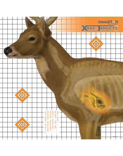 Champion X-ray Target Deer - 25"x25" 6-pack